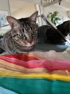 ペットのパーソナルカラー