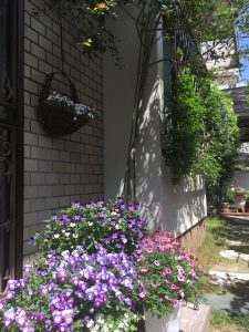 イングリッシュガーデン