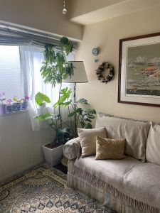 植物をセンス良く飾るには？
