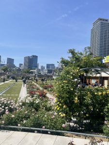 ５月は満開のバラ園で癒し
