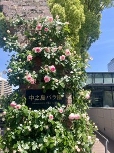 ５月は満開のバラ園で癒し