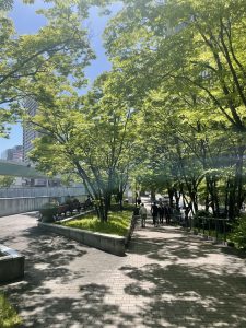 大阪市北区土佐堀川沿い