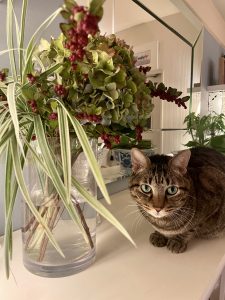 インテリアフラワー