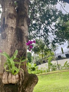 Horizon Karon Beach Resort&Spa