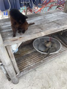 プーケット　カイ島